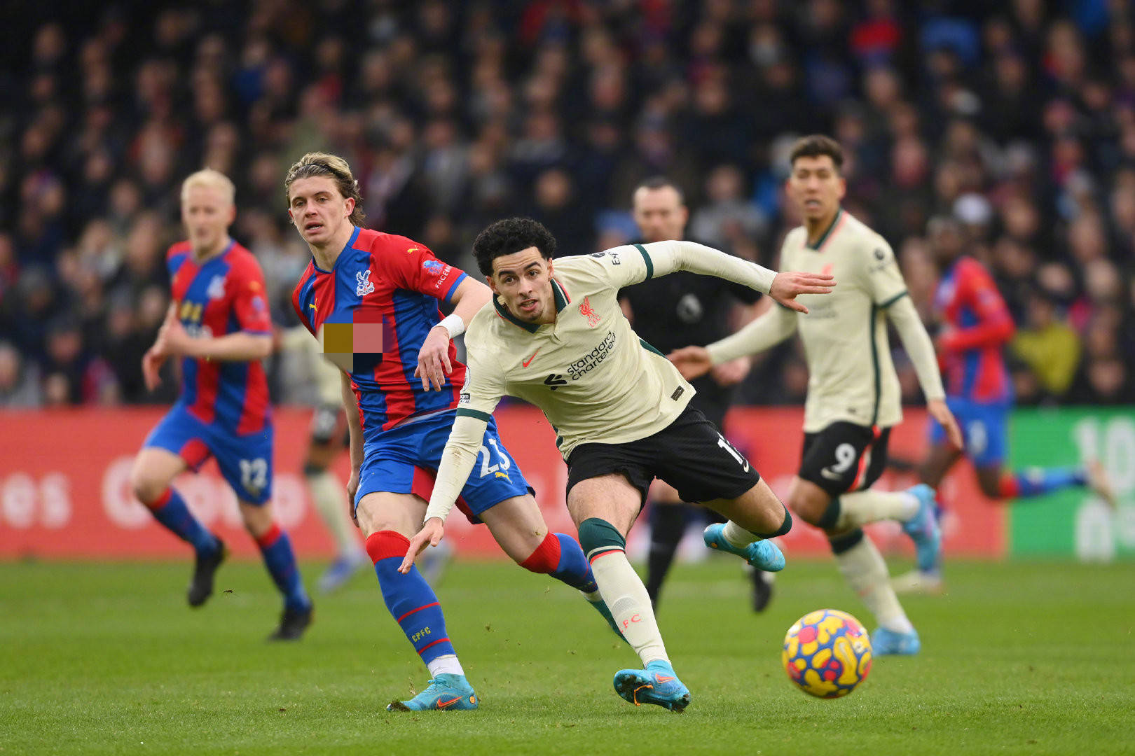 迪内斯的这 迪内斯的这